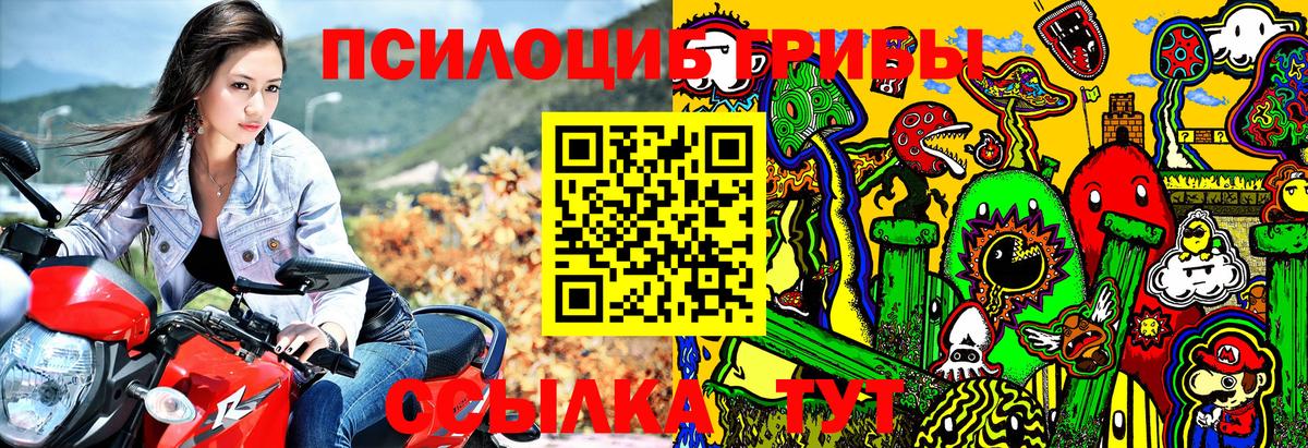 Галлюциногенные грибы Psilocybine cubensis Королёв