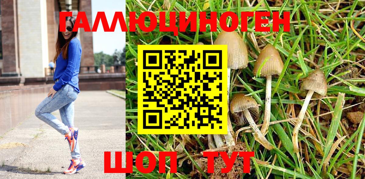 где купить наркоту  Вход с VPN  Королёв  Галлюциногенные грибы мухоморы 